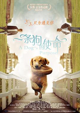 激情都市一区二区